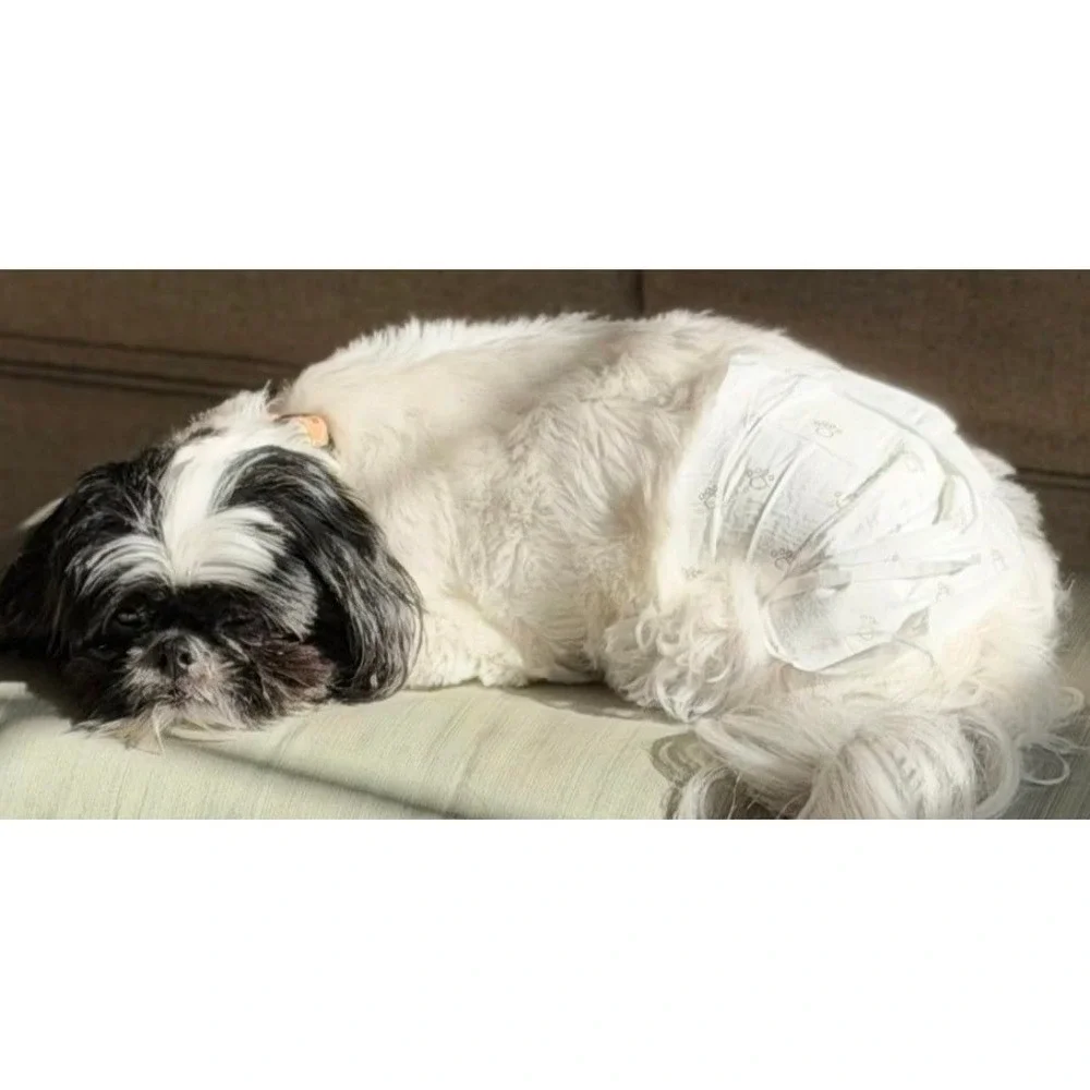 Male Dog Diapers Medium 60 Count Disposable Leak Proof Belly Bands